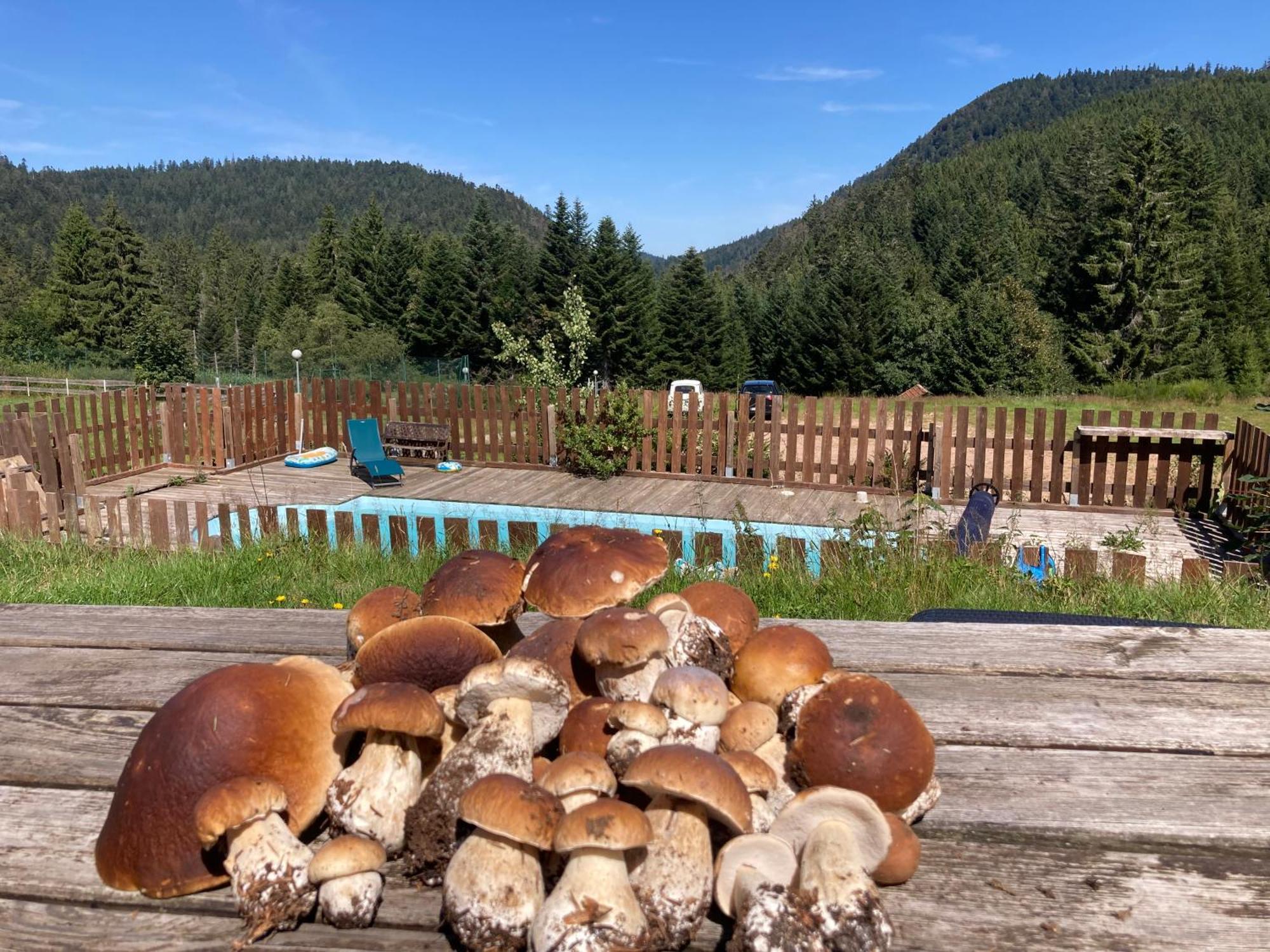 Le Perchoir Du Grand Valtin - Gite 5 Personnes - Altitude 830 Ban-sur-Meurthe-Clefcy Екстериор снимка